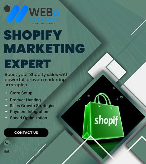 Shopify dropshipping marketing services Chicago 2026 ecommerce store visibility strategy